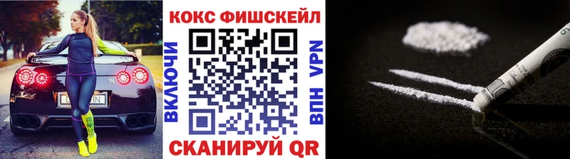 Cocaine FishScale  купить  сайты  Сураж 