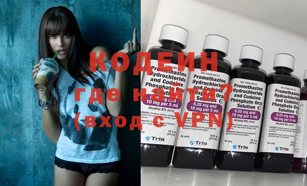 прущие грибы Новозыбков