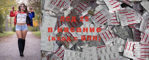 шишки Алексеевка